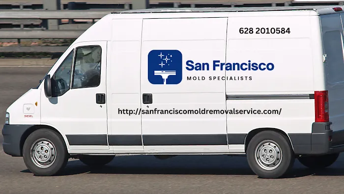 San Francisco Mold Specialists Picture 4