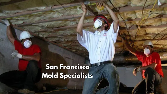 San Francisco Mold Specialists Picture 9