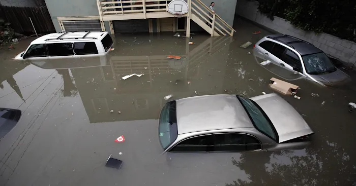 Commercial Flood Repair Picture 9