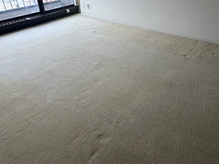 Stanley Steemer Picture 3