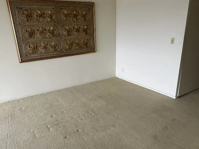 Stanley Steemer Picture 7