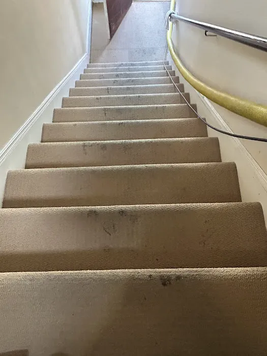 Stanley Steemer Picture 1