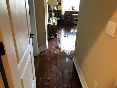 Pacific CA Picture 3