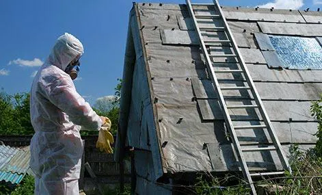 Vital Restoration Picture 7