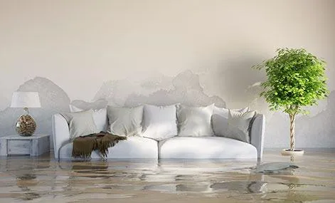 Vital Restoration Picture 6