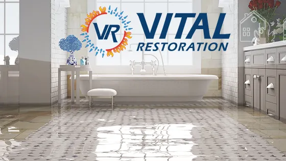 Vital Restoration Picture 10