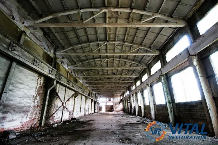 Vital Restoration Picture 3