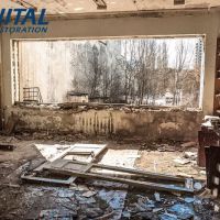 Vital Restoration ico