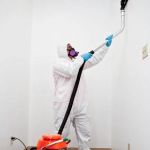 Daly City Restoration