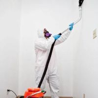 Daly City Restoration ico