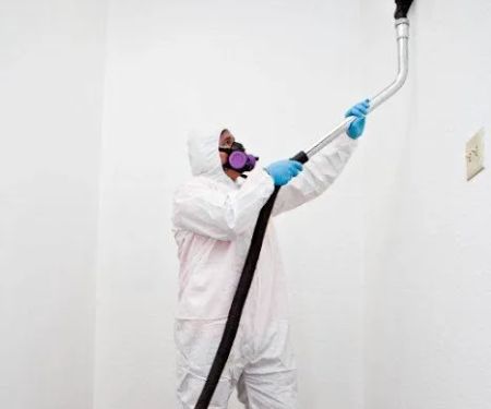 Daly City Restoration