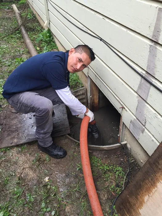 All Action Water Damage Picture 8