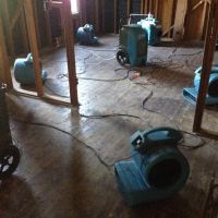 All Action Water Damage ico