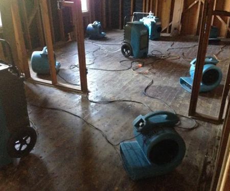 All Action Water Damage