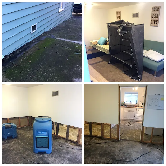 All Action Water Damage Picture 10