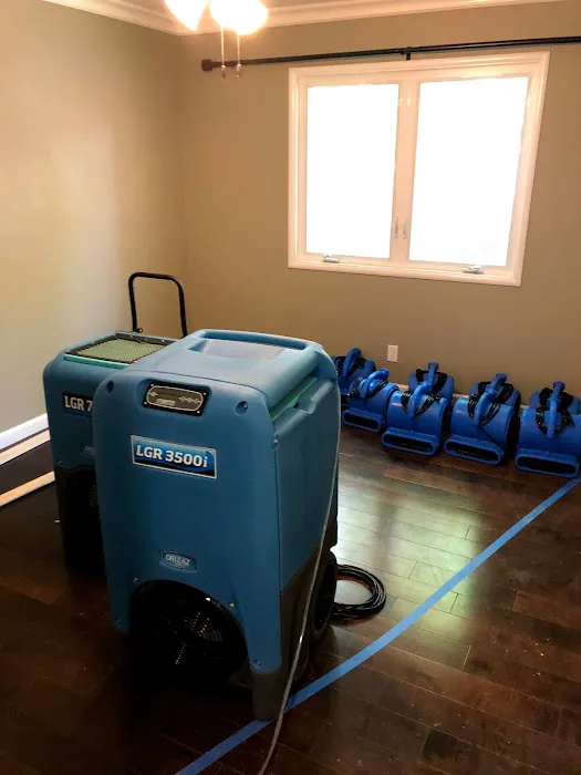 All Action Water Damage Picture 9