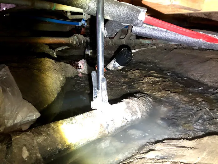 All Action Water Damage Picture 6