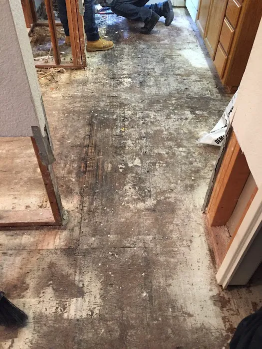 All Action Water Damage Picture 5