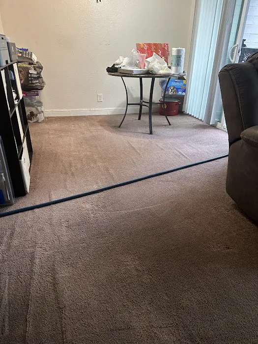 COIT Cleaning and Restoration Picture 2