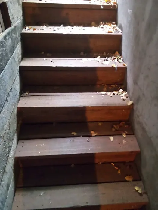 Hydro Hero Restoration San Mateo Picture 7