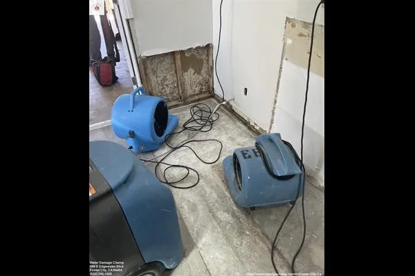 Water Champ Picture 4