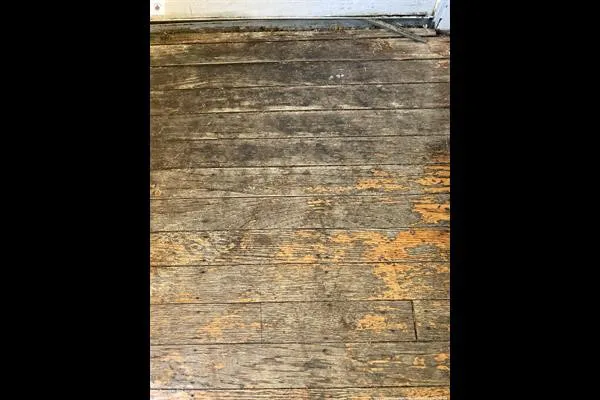 Water Champ Picture 3