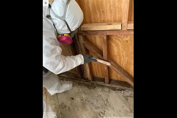 Water Champ Picture 6