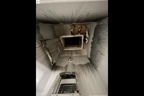 Water Champ Picture 1