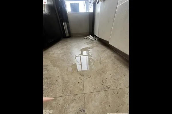 Water Champ Picture 10