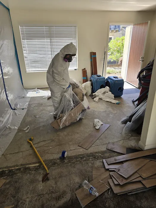 Leader Restoration Picture 3