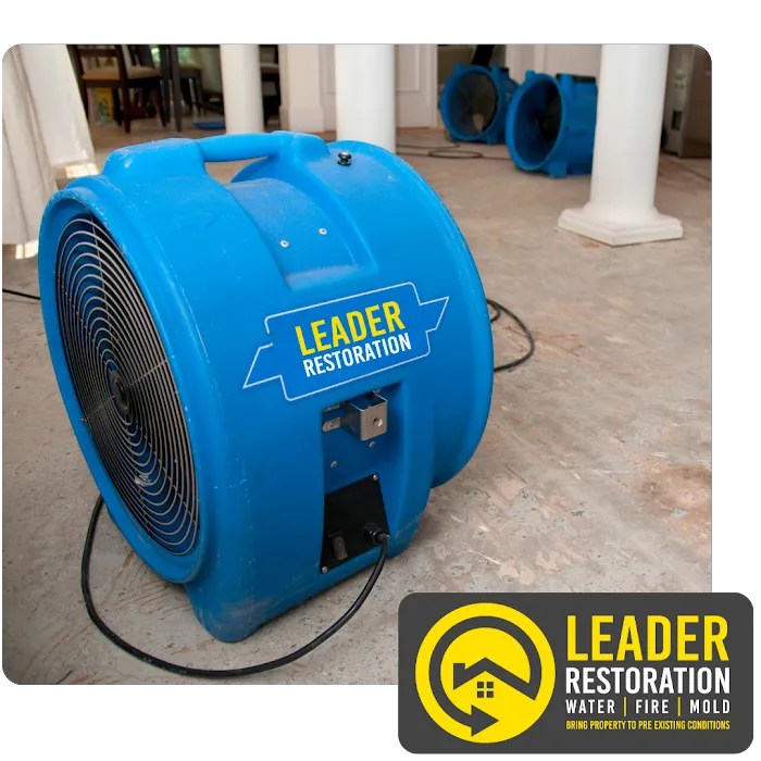 Leader Restoration Picture 10