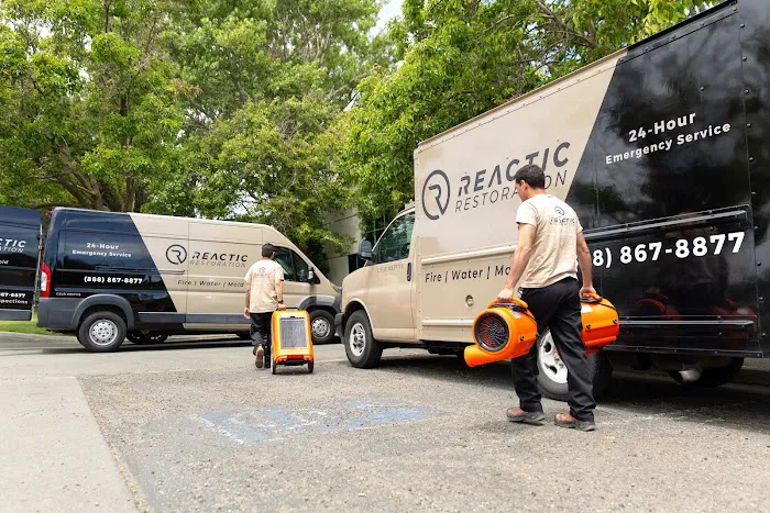 Reactic Restoration Picture 7