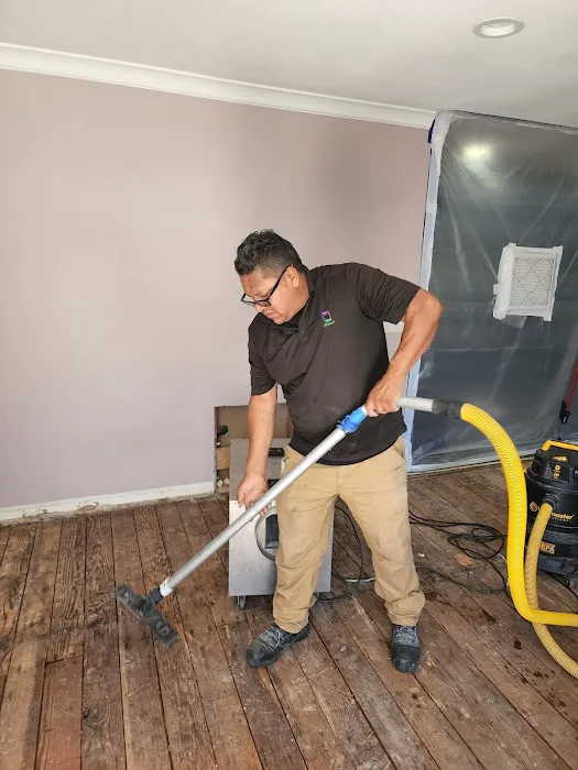 ZGREEN Restoration Picture 3