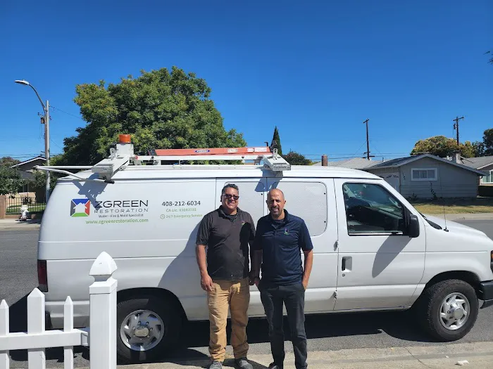 ZGREEN Restoration Picture 4