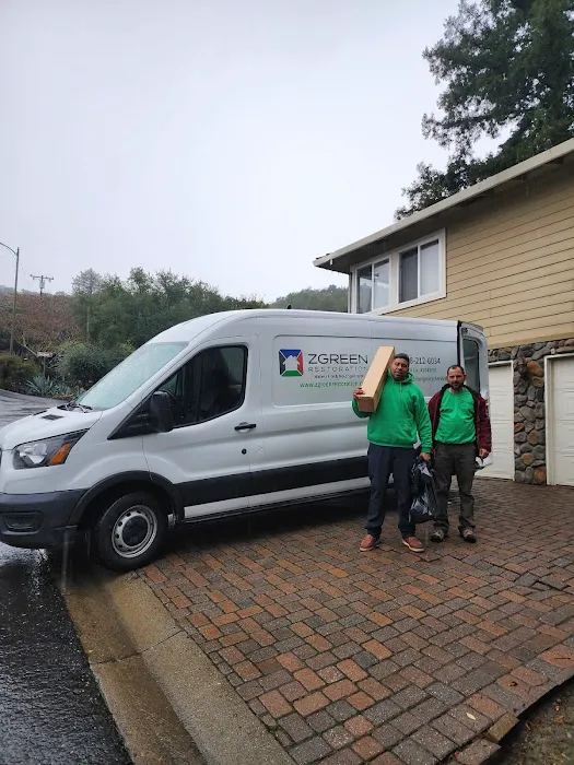 ZGREEN Restoration Picture 2