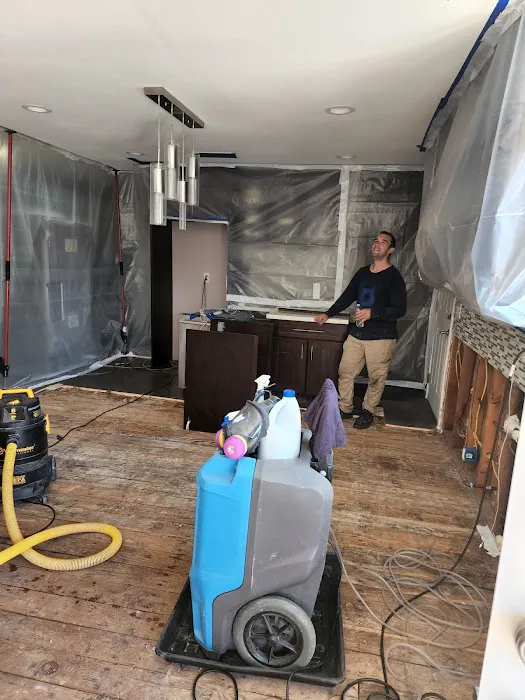 ZGREEN Restoration Picture 5