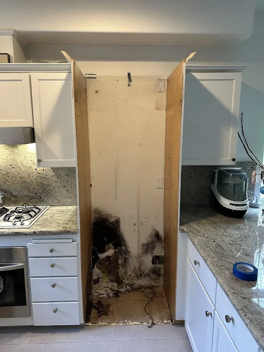 Hydro Hero Restoration Picture 3