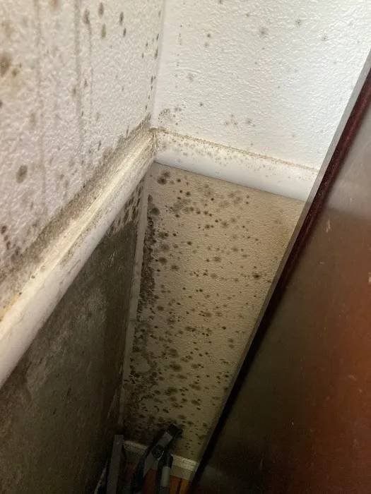 Hydro Hero Restoration Picture 9