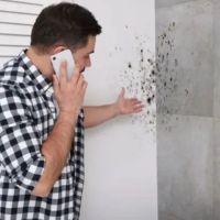 Quick Water Damage Restoration Services ico