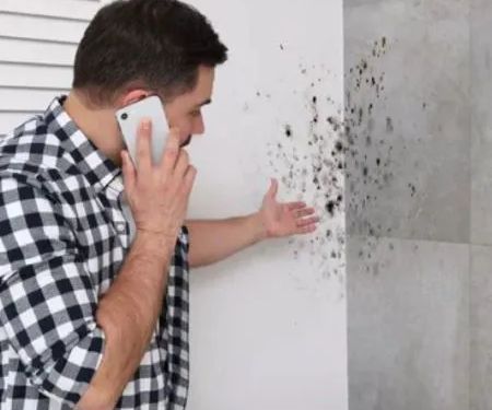 Quick Water Damage Restoration Services