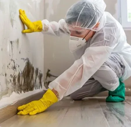 Quick Water Damage Restoration Services Picture 2