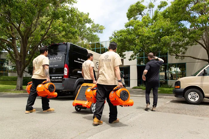 Reactic Restoration Picture 7