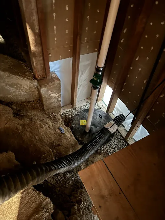 Reactic Restoration Picture 3