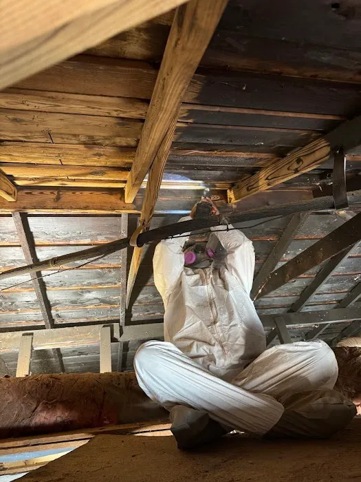 Reactic Restoration Picture 4