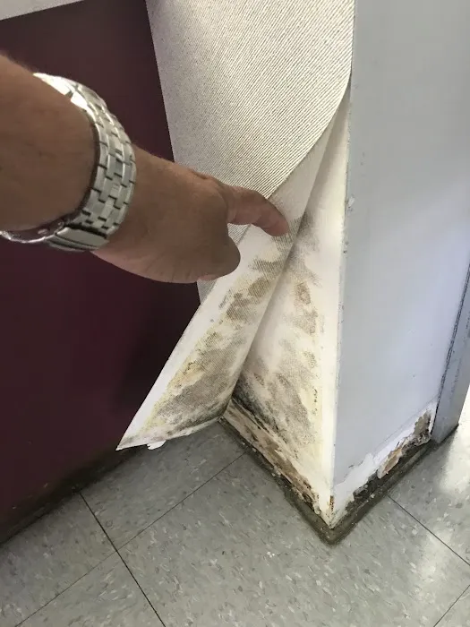 BELFOR Property Restoration Picture 6