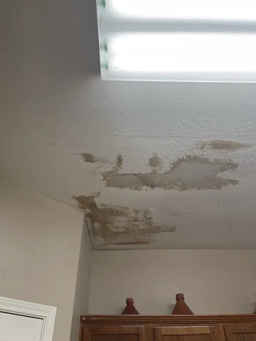 Water Damage Champ Picture 1