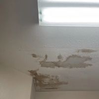 Water Damage Champ ico