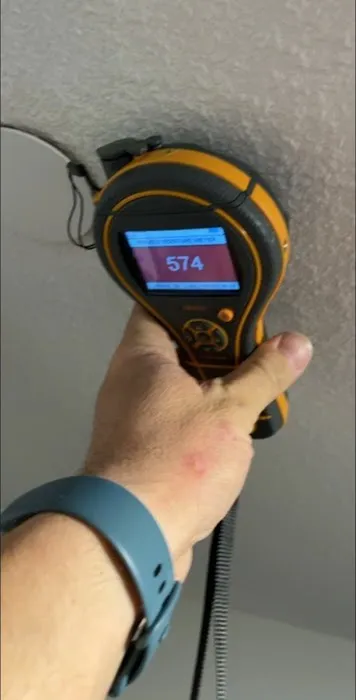 Peninsula Restoration Picture 1