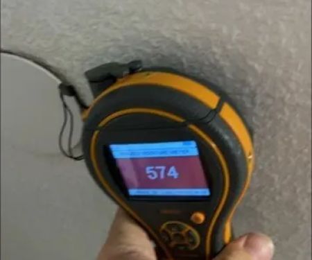 Peninsula Restoration