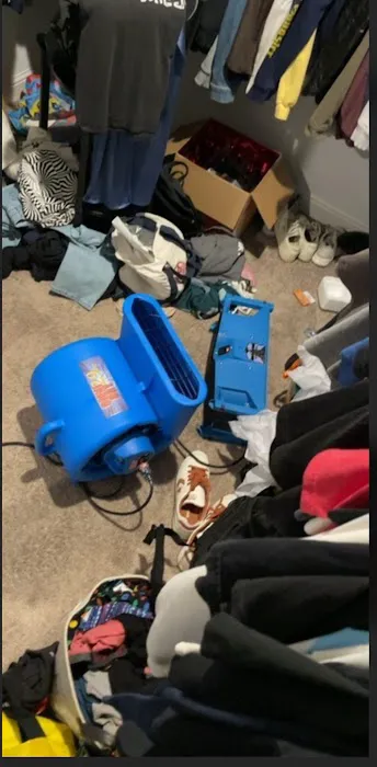 Peninsula Restoration Picture 2